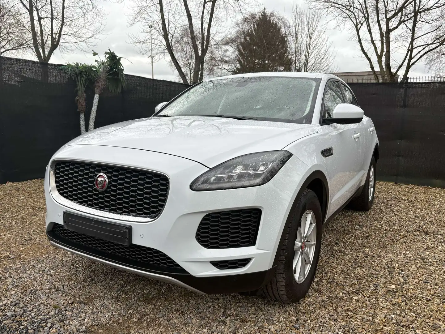 Jaguar  E-Pace 2.0 D AWD 1e PROP - NAVI - CAM - Eur6b